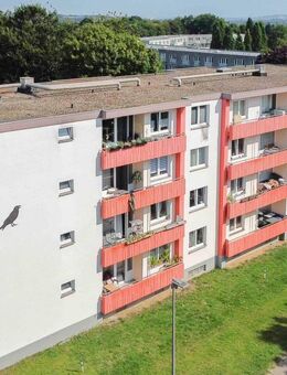 Gepflegte 3 Zimmer Erdgeschoss Wohnung in Bielefeld-Baumheide - Bielefeld
