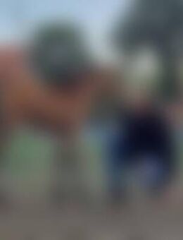 Jul*** - Lüdinghausen