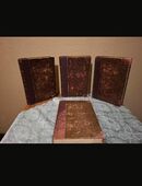 Eine echte Rarität 6 Bücher aus dem Jahr 1877-1879 von Brehms in 06567