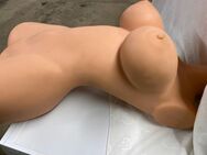 Sexdoll Torso mit Kopf zu verkaufen - Dresden