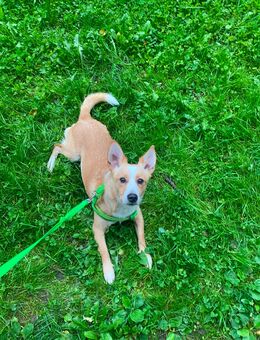 Tofik ein Jahr alt - Reutlingen