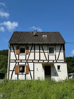 Sanierungsbedürftiges Haus mit großem Grundstück