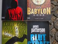 Thriller Krimis Bestseller Taschenbücher 39 Bücher zus. nur 5,- - Flensburg