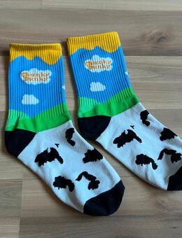 Chunky Dunky Socken Gratisbeigabe Onesize 35/38 - Hamburg