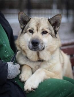 AIVA - klug und familientauglich - Augsburg