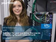 Spezialist für Java und Below-The-Line im Entwicklungsbereich Leben (m/w/d) - Stuttgart