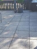 Terrassenplatten in 37574