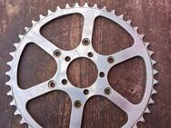 Specialités TA T.A. Chainring 46T Criterium double/triple - Frankfurt (Main)