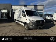 Mercedes Sprinter, 315 MAXI L3H2 4325 MBUX, Jahr 2022 - Rottweil