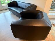 Rolf Benz Sofa und Sessel - Bad Segeberg