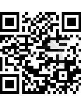 Singlewohnung in zentraler Lage - Zwickau