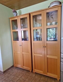 Vitrine mit Beleuchtung und Glaseinlegeböden - Sulzbach (Taunus)