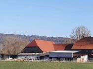 Großer Resthof, teilweise renovierungsbedürftig mit 3.2 h Land - Springe