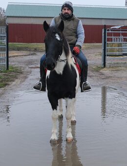 Pintomixstute Lora - Buttstädt