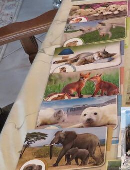 Tierkarten zu verschenken - Stuttgart
