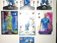 Match Attax Bundesliga Hoffenheim - Emsdetten