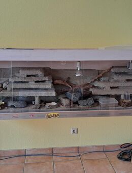 Terrarien 2,5m lang oder Eckterrarium - Potsdam