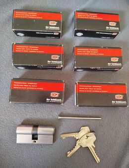 DOM Zylinderschloss, 30 / 30, gleichschließend - Dortmund