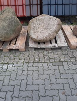 Findlinge zu verkaufen - Syke Zentrum