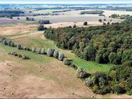 Grundstücke in 17179 Walkendorf OT Boddin - Gnoien