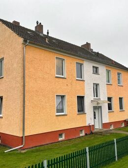 In der Uckermark: Drei Häuser auf einen Streich mit beachtlichem Grundstück - Angermünde