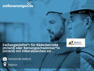 Fachangestellte*r für Bäderbetriebe (m/w/d) oder Rettungsschwimmer*in (m/w/d) mit Silberabzeichen als Bäderaufsicht in Vollzeit oder Teilzeit - Malsch (Landkreis Karlsruhe)