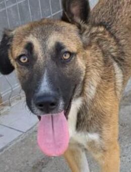 Liebste ♥ Lisa ♥ die pure Lebensfreude - Hamburg