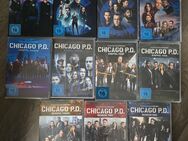 Chicago PD Staffel 1-11 Neu - Magdeburg