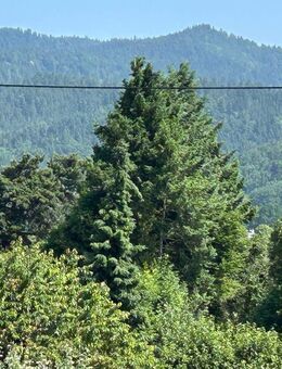 Ruhiges residieren im Dreisamtal - DG Wohnung mit Weitblick - Kirchzarten