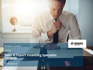 Sales & Export Financing Specialist (m/w/d) - Boppard