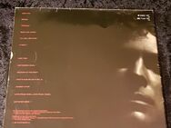 Schallplatte Vinyl 12'' LP - LINDSEY BUCKINGHAM - LAW ORDER [1981] - Zeuthen