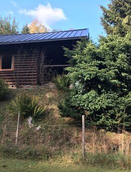 Ewersbach: Wochenendhaus mit großem Grundstück im Wochenendgebiet zu verkaufen - Dietzhölztal