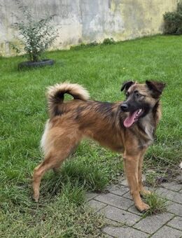 Chanel - gerade noch gerettet! - Hausen (Würzburg)