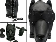 4 Teiliges Maske Hundemaske Hunde Maske Kostüm Schwarz mit Augenbinde Ohren 29,90€* - Villingen-Schwenningen