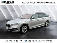 Skoda Octavia, 1.5 TSI Combi TOP, Jahr 2020 - Ludwigsfelde