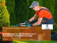 Beschäftigte für den Bundesforst in forstlichen Funktionen (w/m/d) - Bonn