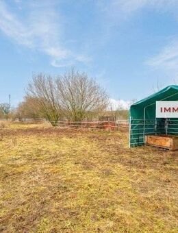 IMMOBERLIN.DE - Für Pferdeliebhaber! Haus mit Nebengebäuden & Potential auf großem Grundstück in ländlicher Lage - Seelow