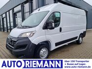 Opel Movano, 3.5 t Kasten 140 L2H2 Edition NaviApp, Jahr 2024 - Cloppenburg