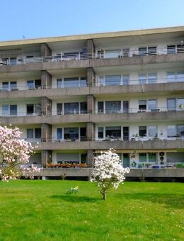 3-Zimmerwohnung mit Balkon - Entspannen und Genießen und abschalten vom Alltag! - Solingen (Klingenstadt)