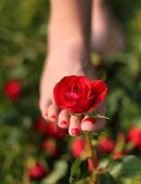 Stunden Zimmer in 21107