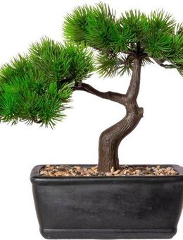 Kunstbonsai Bonsai Lärche Bonsai, Creativ green, Höhe 23 cm