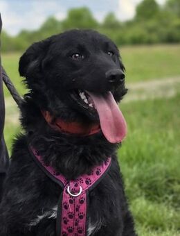 ❤️Janja Sportskanone mit Kuschelbonus - Kissing