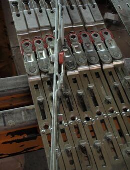GU - Scherenstulp/ 751-1000 mm FFb - Ulmen Ulmen