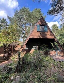 Ihr Rückzugsort am Wald - Ferienhaus in Teupitz OT Egsdorf - Teupitz