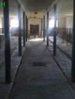 Beschaulicher Bauernhof bei Bautzen - Hochkirch