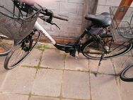 28 Zoll Pedelec Raleigh - Köln