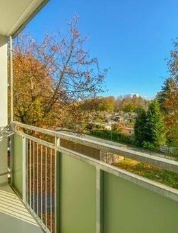 +++ bezahlbare 3-Zimmer-Wohnung mit Blick auf den Stadtpark +++ - Chemnitz