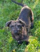 253585 - immer unternehmungslustig in 51491