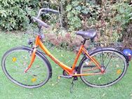 Antilope Damenfahrrad Primavera Orange 3gang 28zoll Reifen - Essen