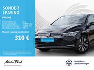 VW Golf, 2.0 TDI VIII DSGückfahrkamera, Jahr 2024 - Bad Homburg (Höhe)